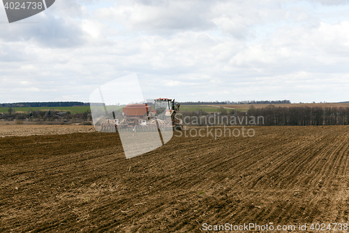 Image of Planting of cereal crops