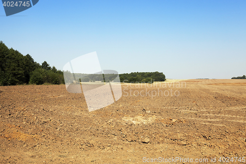 Image of plowed agricultural field