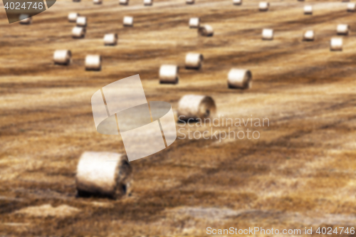 Image of agriculture, not in focus