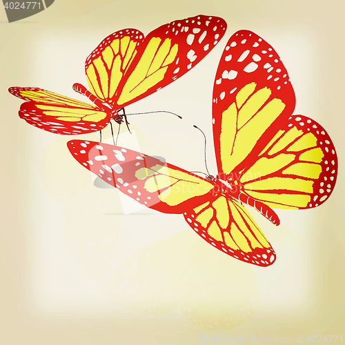 Image of beauty butterflies. 3D illustration. Vintage style.