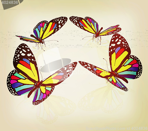 Image of beauty butterflies. 3D illustration. Vintage style.