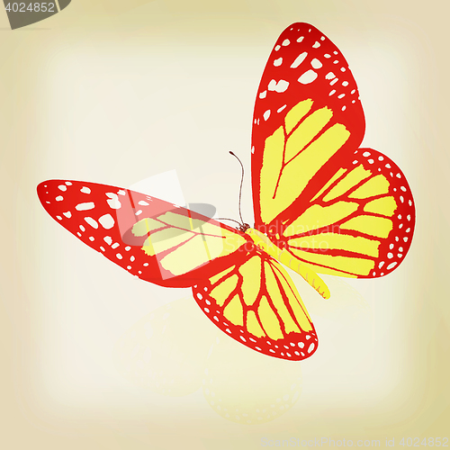 Image of beauty butterfly. 3D illustration. Vintage style.