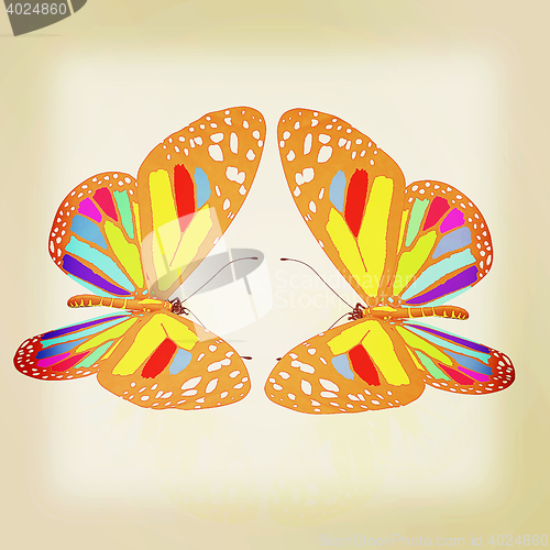 Image of beauty butterflies. 3D illustration. Vintage style.