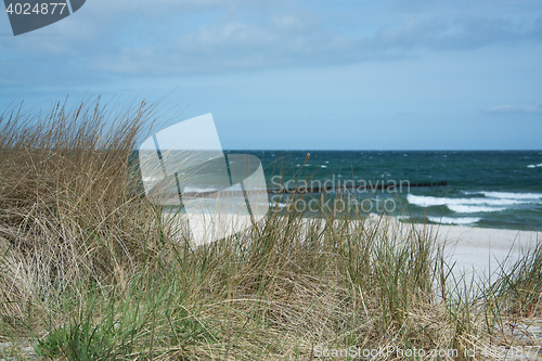 Image of Groyne in Zingst, Darss, Germany