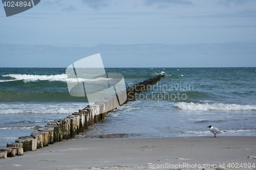 Image of Groyne in Zingst, Darss, Germany