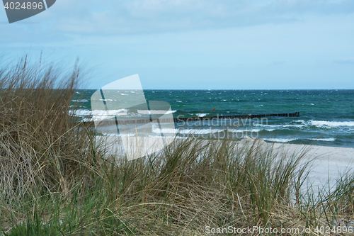 Image of Groyne in Zingst, Darss, Germany