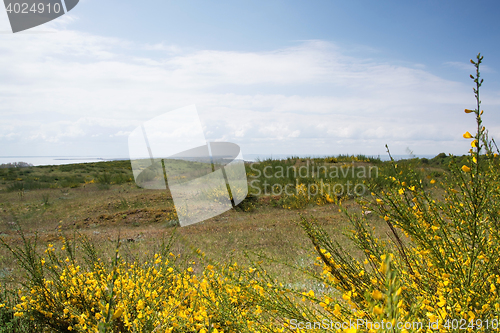 Image of Island Hiddensee, Germany