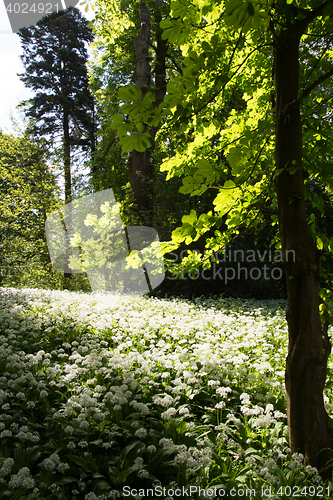 Image of Putbus, Ruegen, Germany