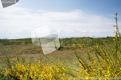 Image of Island Hiddensee, Germany