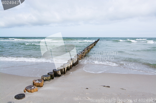 Image of Groyne in Zingst, Darss, Germany