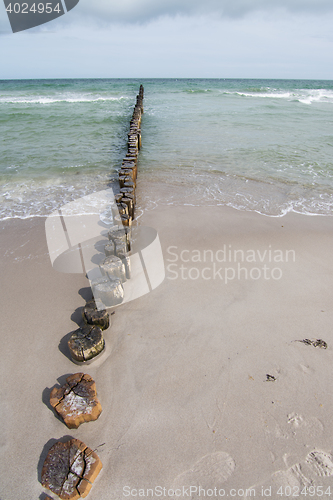 Image of Groyne in Zingst, Darss, Germany