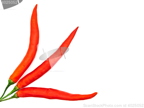 Image of Spicy Peppers
