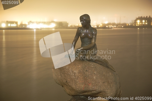 Image of Little Mermaid at night