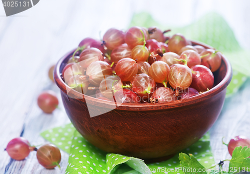 Image of gooseberry