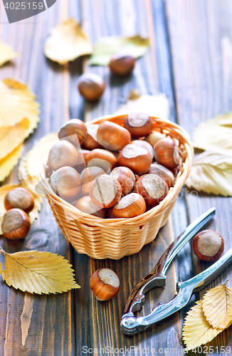 Image of hazelnuts