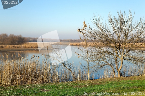 Image of Lakeside autumn landscape