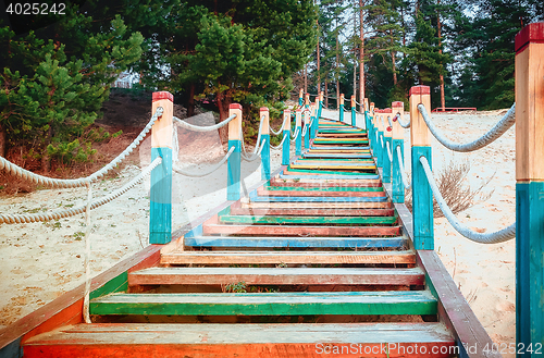 Image of Color Wooden Staircase On The Beach Among The Pines