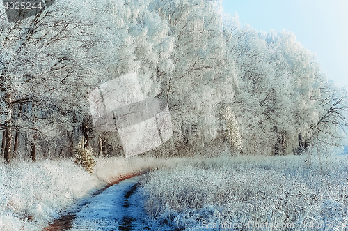 Image of Winter Landscape With a Forest Path