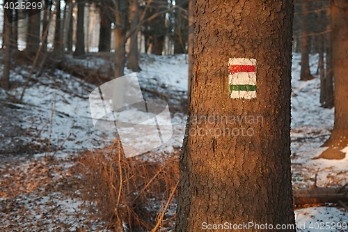 Image of Hiking trail signs