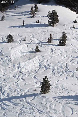 Image of Ski Slope with Fresh Curves