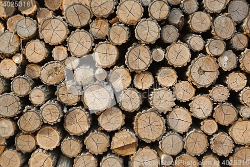 Image of Log wood pile