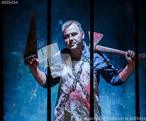 Image of Bloody Halloween theme: crazy killer as butcher with an ax