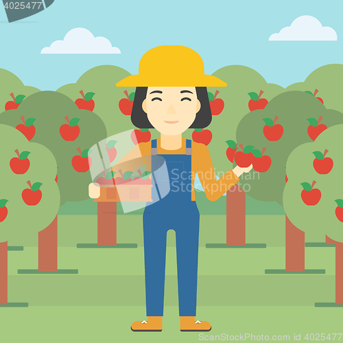 Image of Farmer collecting apples vector illustration.