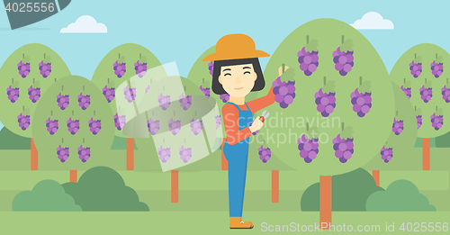 Image of Farmer collecting grapes vector illustration.