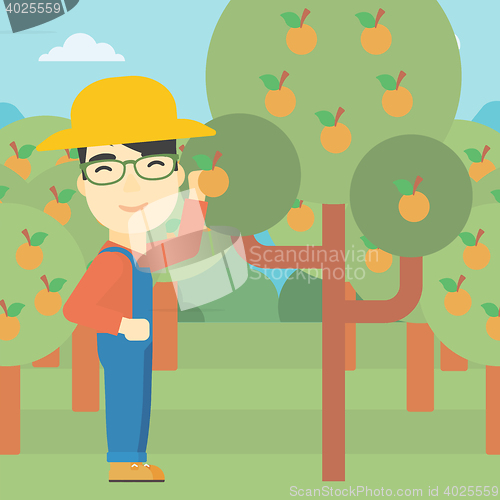 Image of Farmer collecting oranges vector illustration.