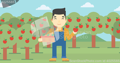 Image of Farmer collecting apples vector illustration.