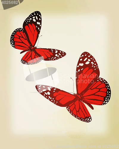 Image of beauty butterflies. 3D illustration. Vintage style.