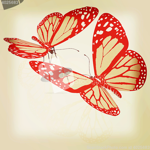 Image of beauty butterflies. 3D illustration. Vintage style.