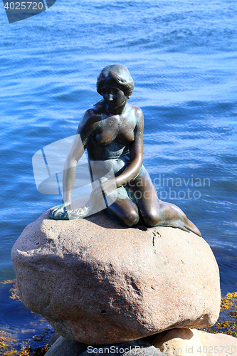 Image of Sculpture of The Little Mermaid in Copenhagen, Denmark