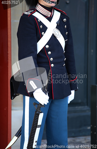 Image of Danish Royal Life Guard in Copenhagen, Denmark