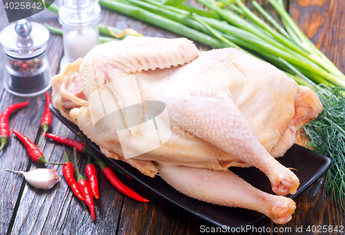 Image of Chicken