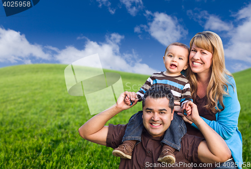 Image of Mixed Race Family In Green Grass Field