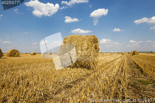 Image of packed straw, cereals