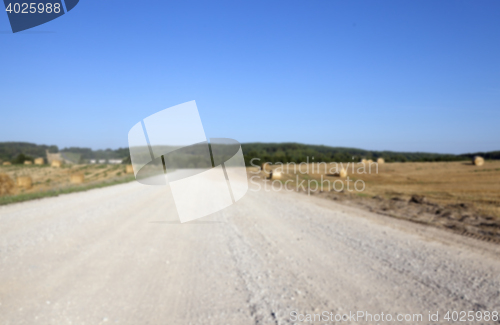 Image of road in the autumn season