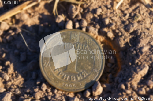 Image of coin in the straw