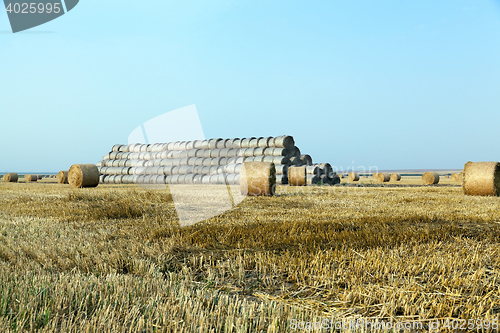 Image of stack of straw in the field