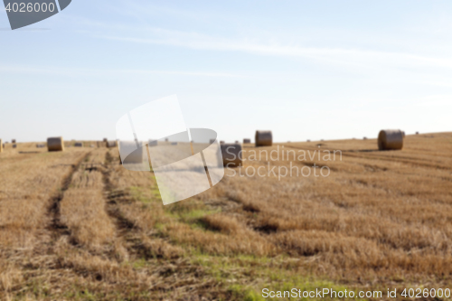 Image of stack of wheat straw