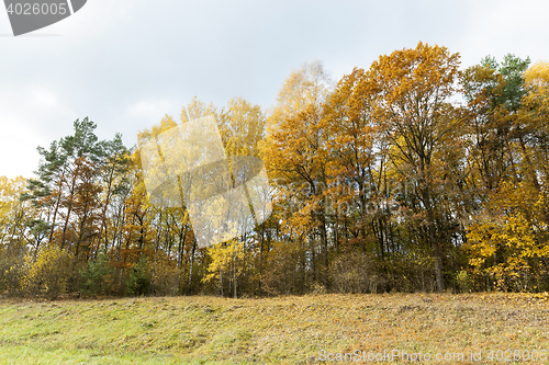 Image of Nature in autumn season