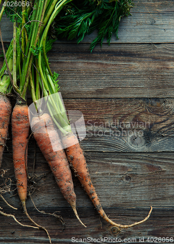 Image of raw carrots on the ground