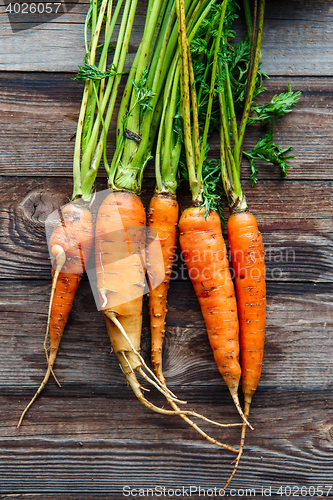 Image of Raw carrot with green leaves on wooden background