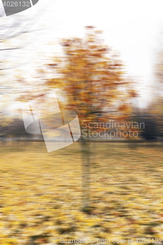 Image of Autumn Park, overcast