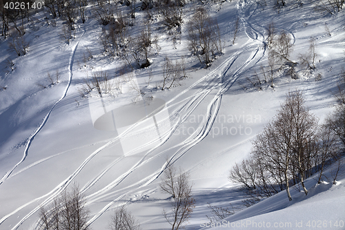 Image of Off-piste slope with track from ski and snowboard in sunny day