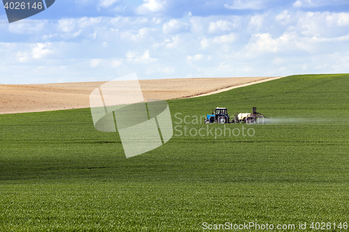 Image of Processing of cereal