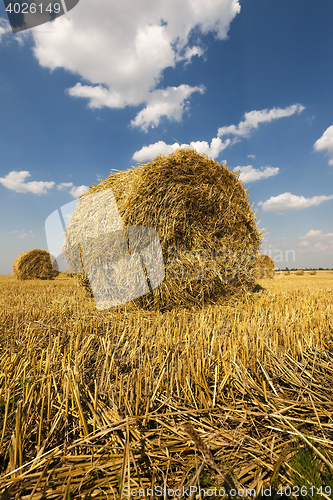 Image of haystacks straw, close up