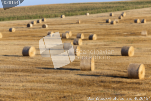 Image of stack of straw in the field