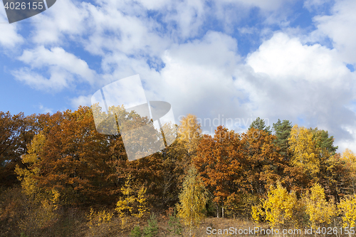 Image of Nature in autumn season